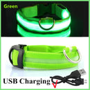 USB Rechargeable Luminous Collar Adjustable Led Glowing Dog