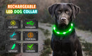 USB Rechargeable Luminous Collar Adjustable Led Glowing Dog
