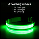 USB Rechargeable Luminous Collar Adjustable Led Glowing Dog