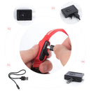 USB Rechargeable Luminous Collar Adjustable Led Glowing Dog