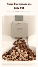 Dog & Cat Automatic Feeder & Waterer Set: Gravity Design, Leak-Proof, Spill-Proof, Anti-Slip, Easy to Clean, Built-In Food Bowl