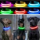 USB Rechargeable Luminous Collar Adjustable Led Glowing Dog
