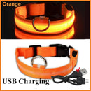 USB Rechargeable Luminous Collar Adjustable Led Glowing Dog