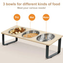 Elevated Cat Bowls Feeder 15° Tilted Raised Feeding & Watering Supplies Pet 3 Stainless Steel Bowls with Stand for Cats Puppies