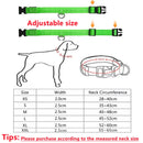 USB Rechargeable Luminous Collar Adjustable Led Glowing Dog