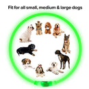 USB Rechargeable Luminous Collar Adjustable Led Glowing Dog